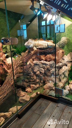 Чистка аквариума