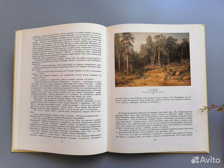 Родник в лесу. Повесть о художнике Шишкине. 1987