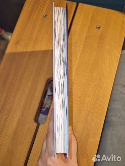 Дарья Сорокина, 