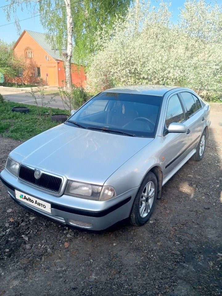 Skoda Octavia: фото владельца