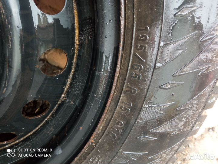 Pirelli Winter Ice Zero 195/65 R15