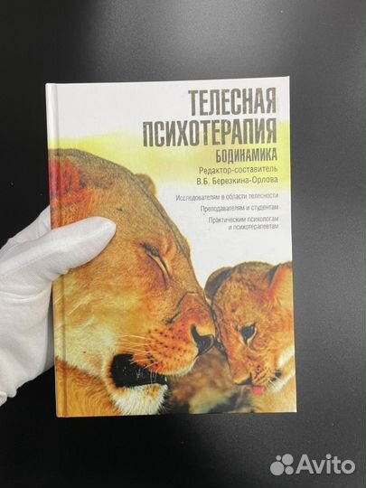 Телесная психотерапия. Бодинамика