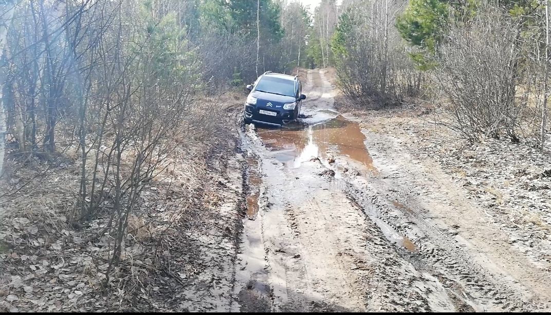 Citroen C3 Picasso: фото владельца