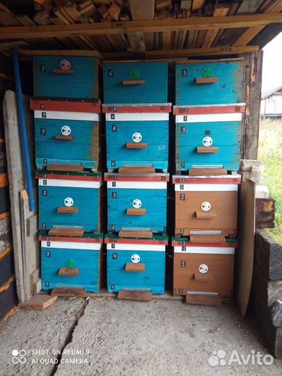 Инвентарь для пчеловодства