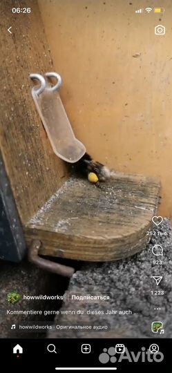 Пчелопакеты