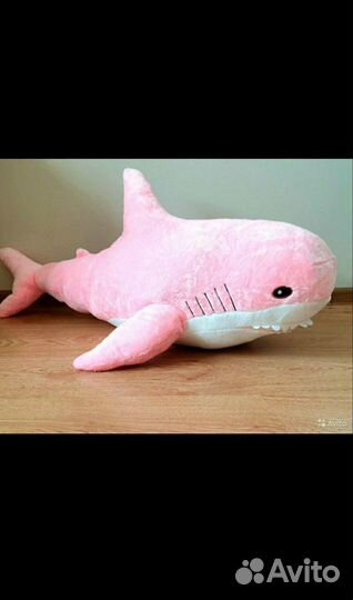 Акула Блохей