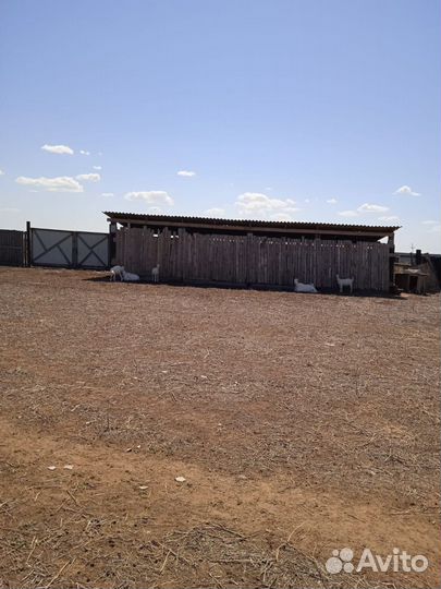 Животноводческая ферма продаю