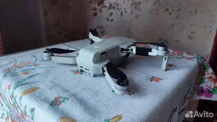 Dji mavic mini