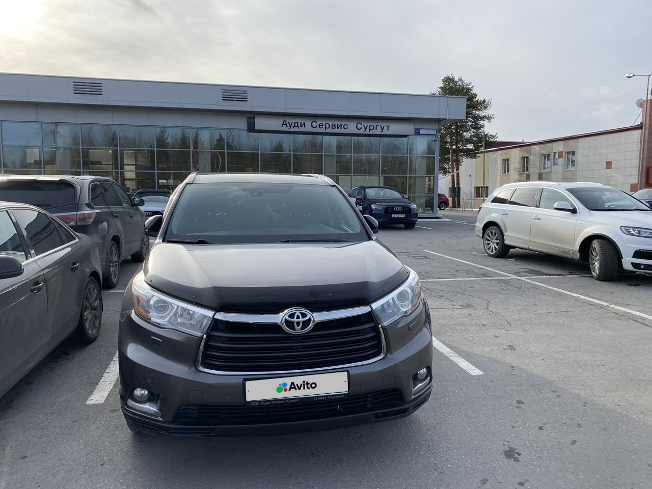 Toyota Highlander: фото владельца