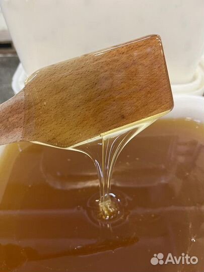 Мёд свежий оптом. Липа, качка 2023 г