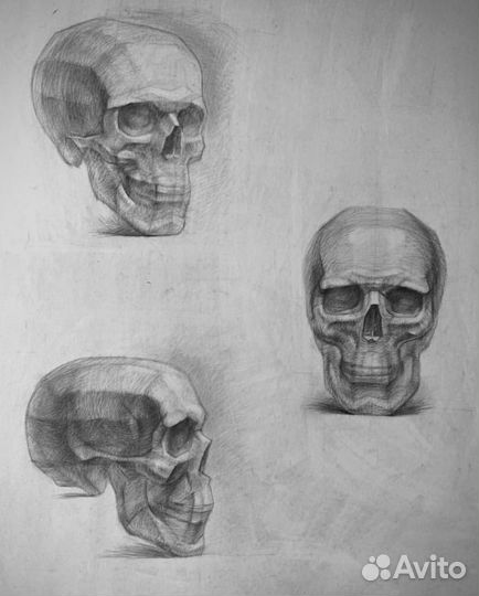 Рисунок карандашом 55х75