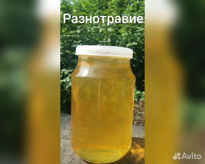 Мёд со своей пасеки