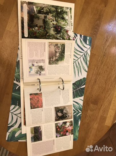 Цветы дома. Шаг за шагом” коллекция карточек