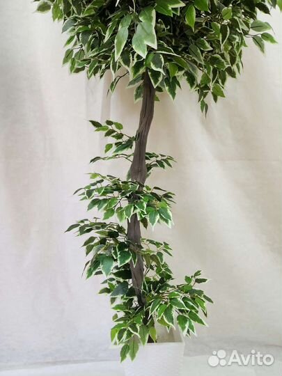 Фикус Премиум цветок дерево искусственное домой