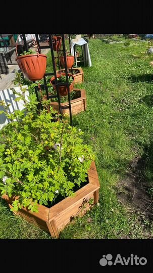 Клумба садовая