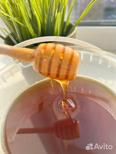 Мёд с Алтая