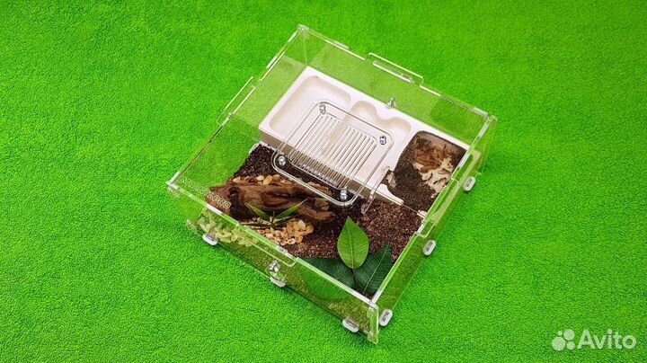 Муравьиная ферма (формикарий) для муравьев