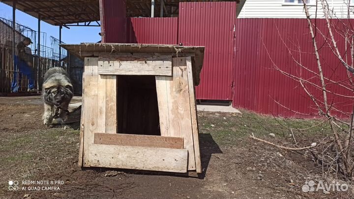 Будка для собаки