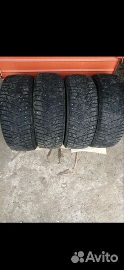 Dunlop Ice Touch 205/55 R16