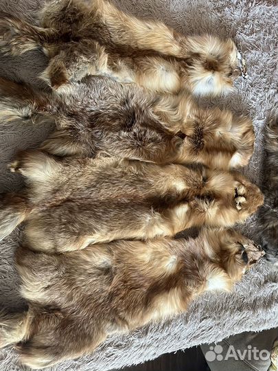Мех лисы