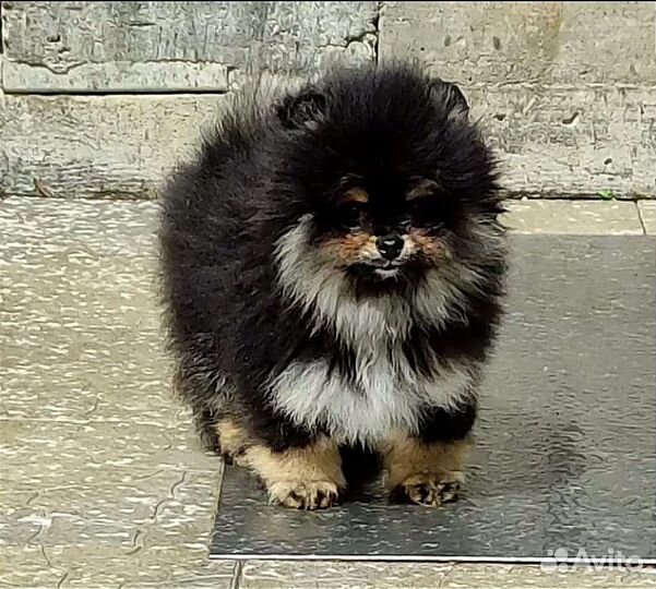 Мальчики и девочки