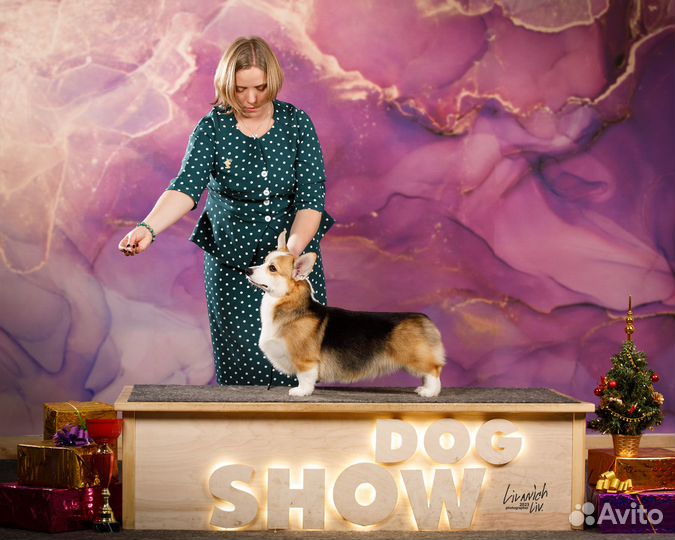 Услуги хендлера в Москве (зао)