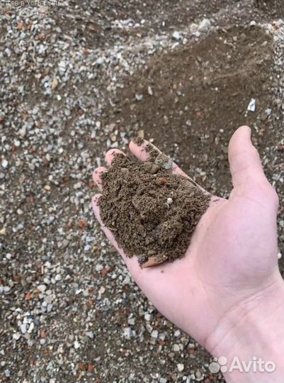 Отсев в Усть-Сыны