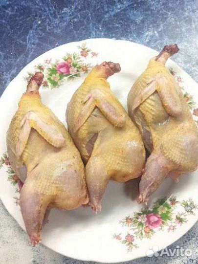 Мясо домашней птицы с доставкой