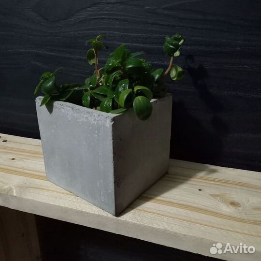 Горшки, Вазоны, Кашпо под заказ из бетона