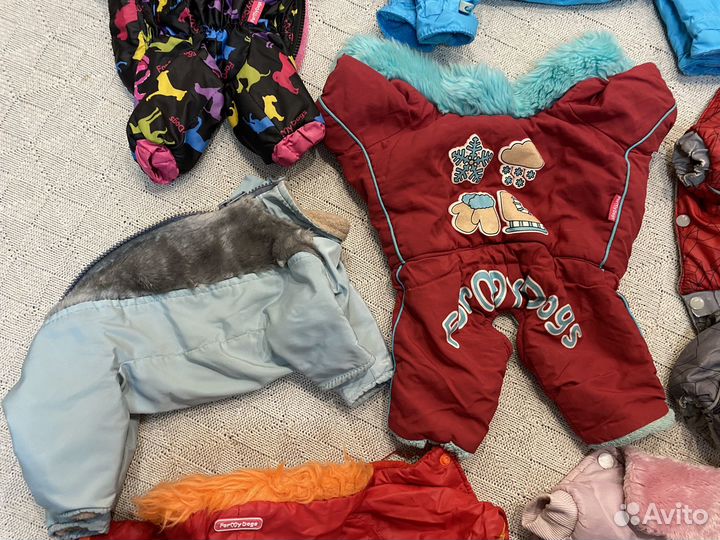 Вещи на маленьких собак