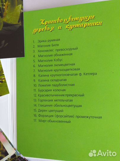 Набор открыток