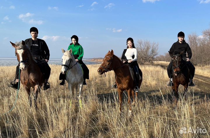 Прогулки верхом круглый год