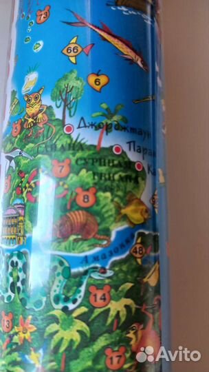 Детская карта мира на стену