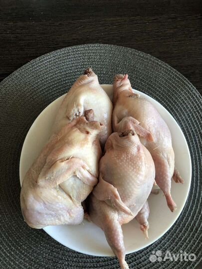 Мясо перепелов