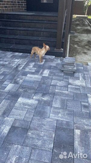 Тротуарная плитка и поребрик от 120 м2