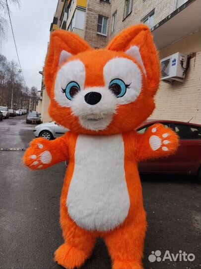 Аниматор Рыжая лиса,котик на праздник