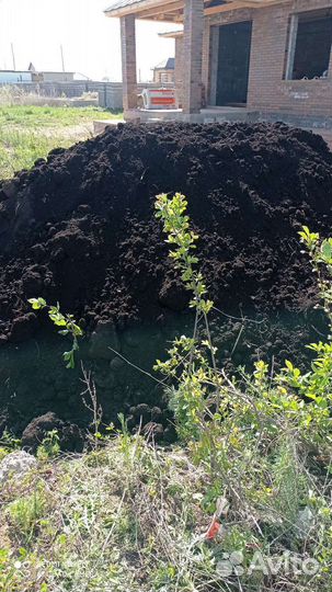 Чернозем. Перегной