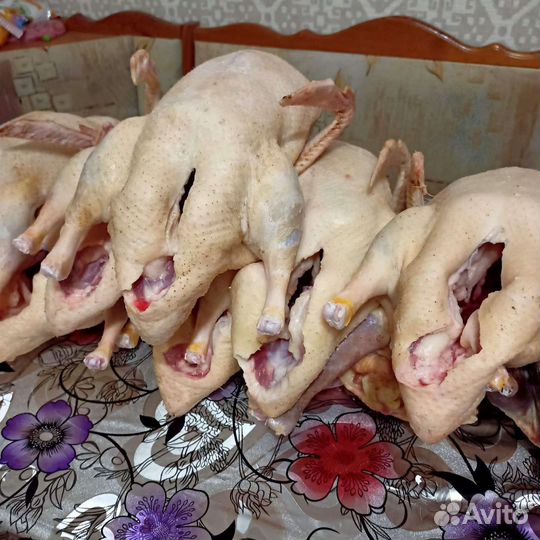 Мясо индейки,домашнее,деревенское