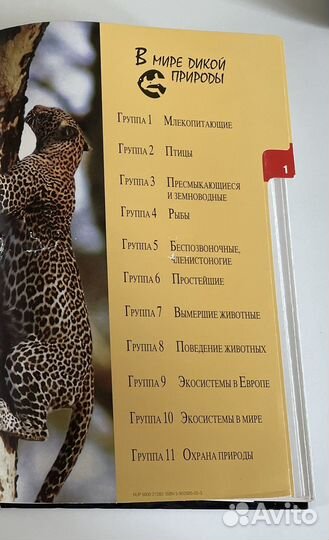 Энциклопедия. В мире дикой природы