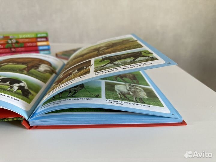 Книги твоя первая энциклопедия