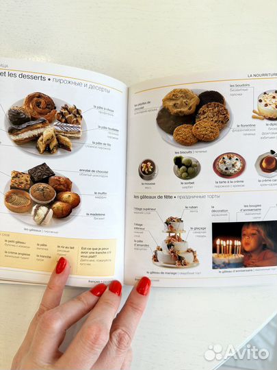 Французско-русский наглядный словарь