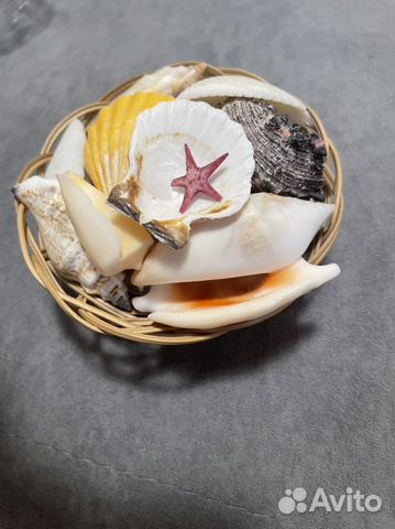 Сувениры из ракушек