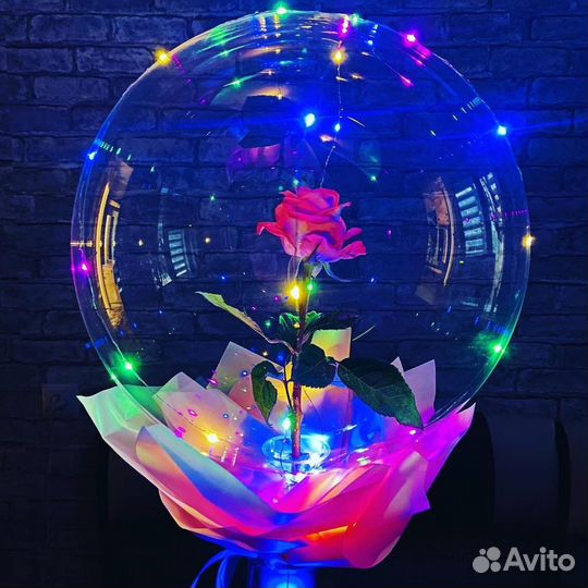 Живая роза в воздушном шаре, Домодедово/Москва