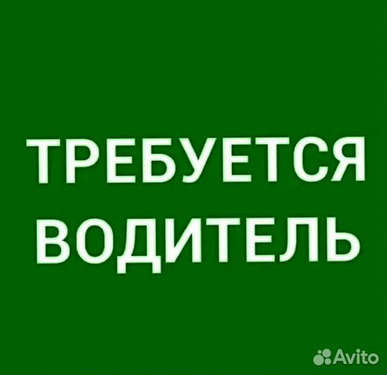 Водитель в компанию