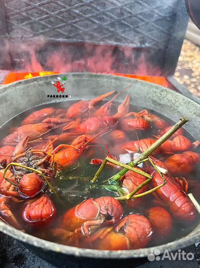 Раки для вашей компании
