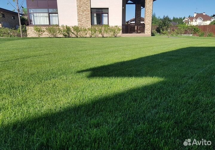 Рулонный газон под ключ