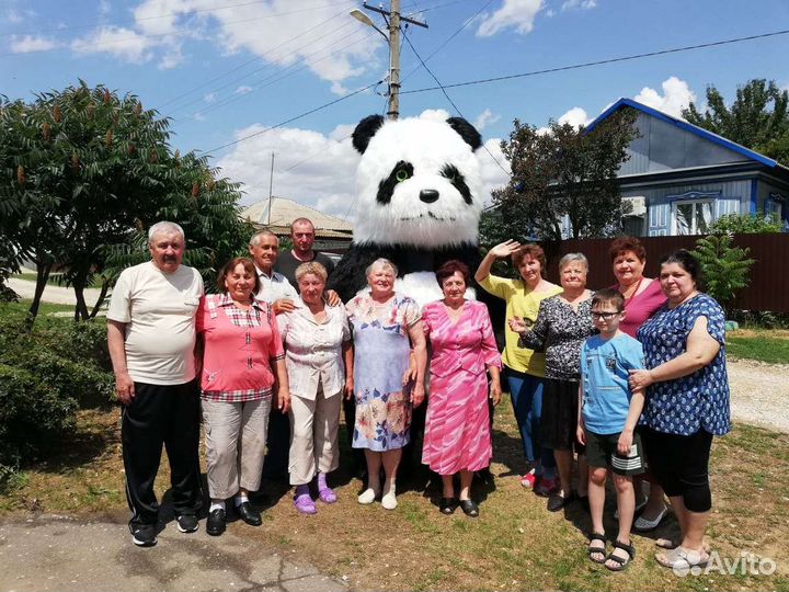 Поздравление от панды