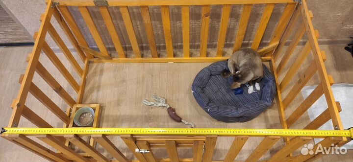 Вольер для собак домашний