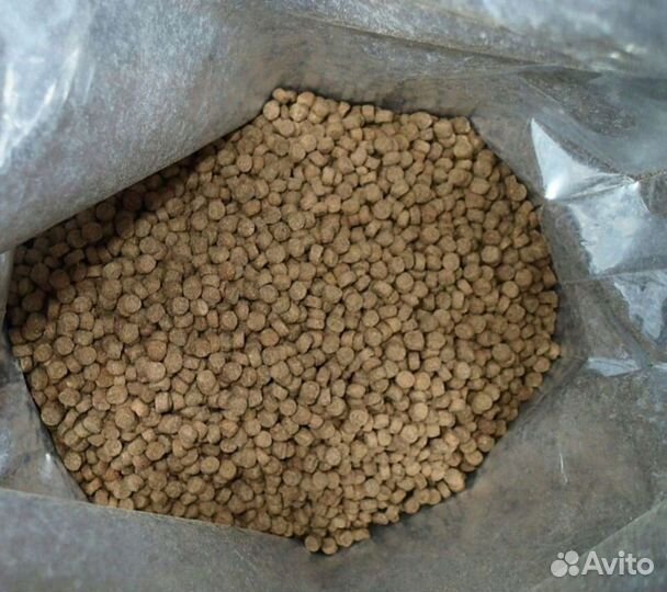 Сухой корм для собак