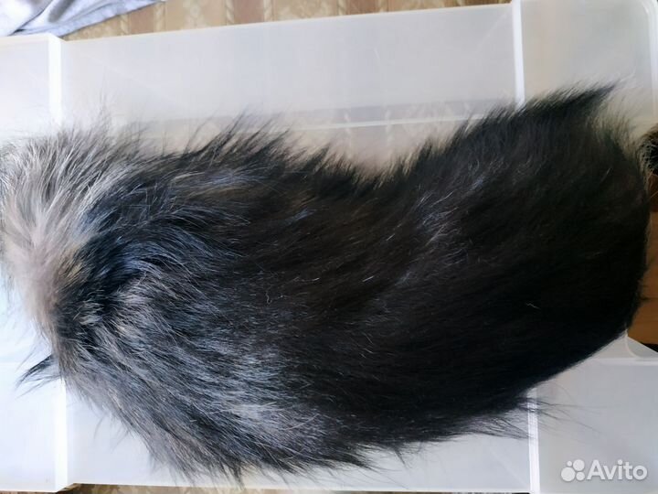 Лисий хвост чернобурка